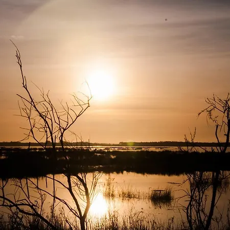 ファームステイ Casa Da Noquinhas *