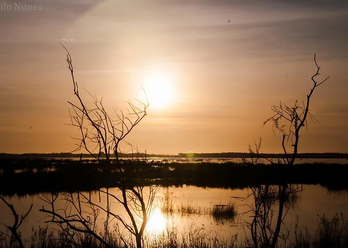Gospodarstwo agroturystyczne Casa Da Noquinhas *
